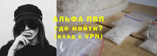 гашик Верея