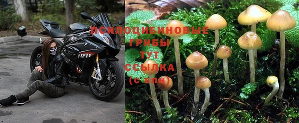 СК Верхний Тагил