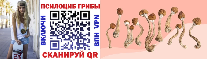 Галлюциногенные грибы GOLDEN TEACHER  Вихоревка 